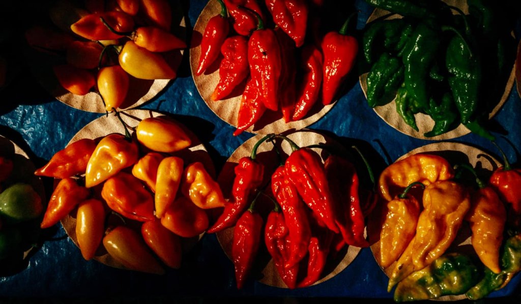 Colorful hot peppers together on a table