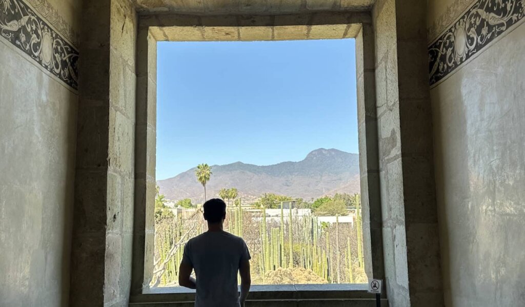 Nomadic Matt standing alone looking out a large window over a landscape of cacti