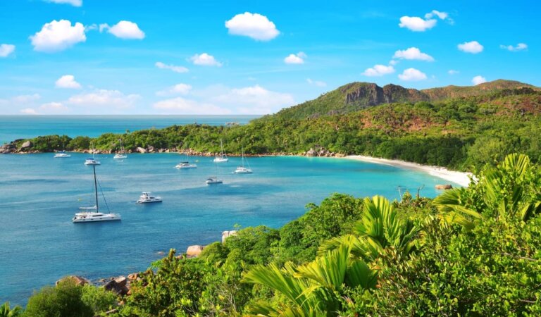 Sailboats in a tranquil bay surrounded by lush rolling hills in the Seychelles
