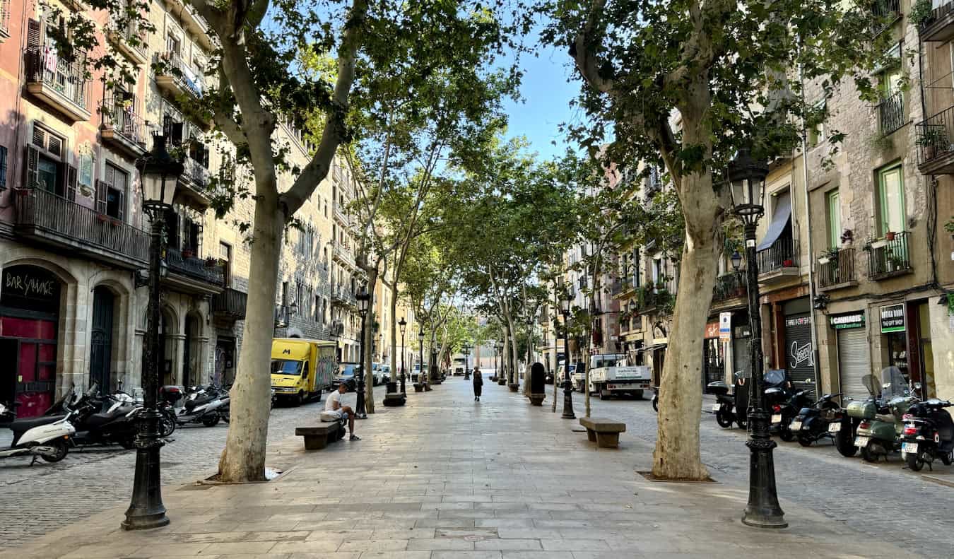 A quiet street in sunny Barcelona, Spain lined with greenery and historic buildings